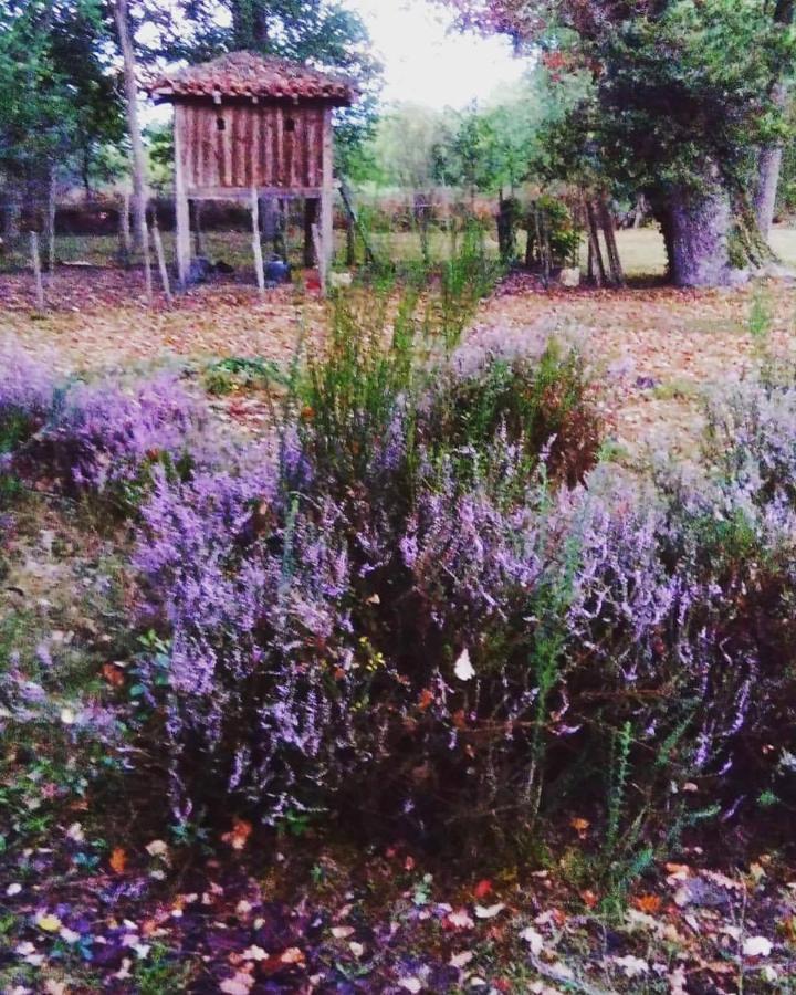 Les Hotes Des Guillemets Laglorieuse Esterno foto