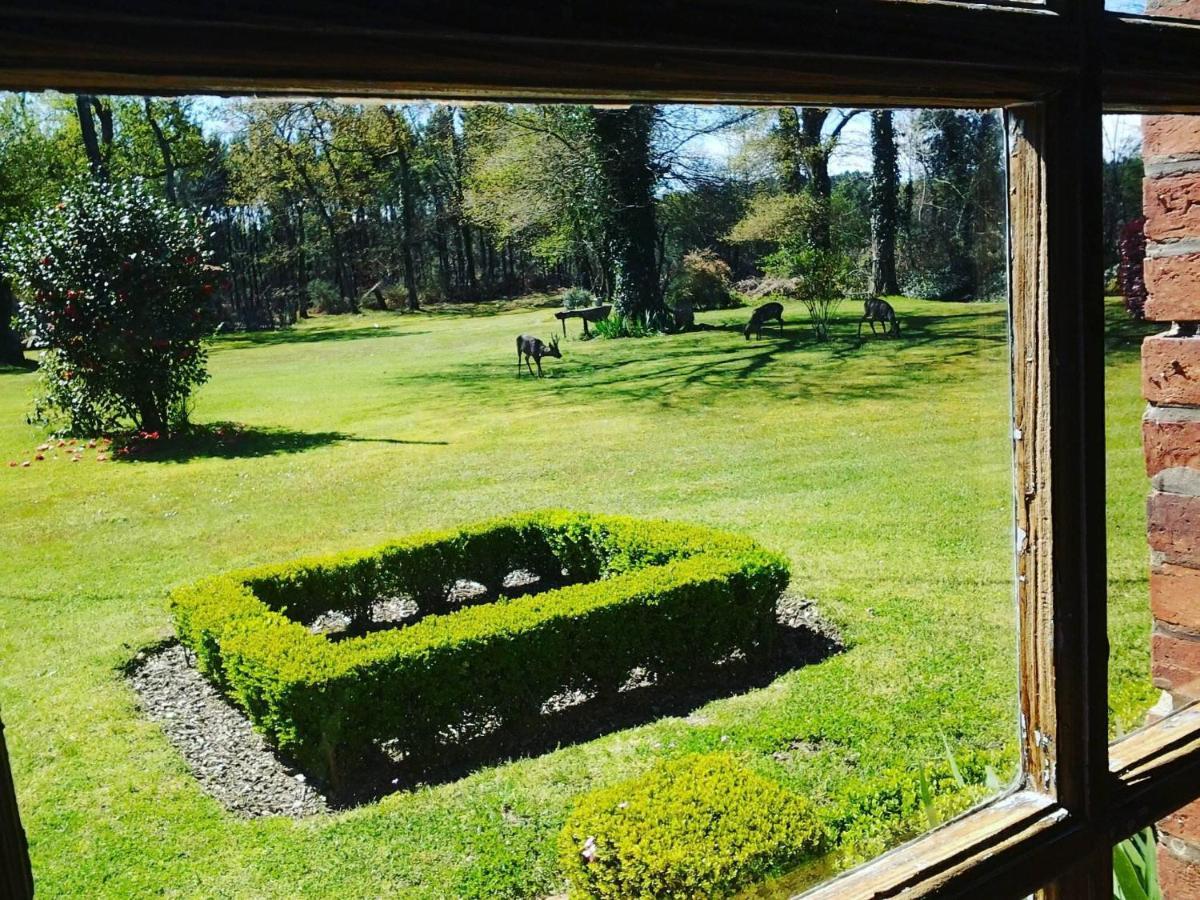 Les Hotes Des Guillemets Laglorieuse Esterno foto